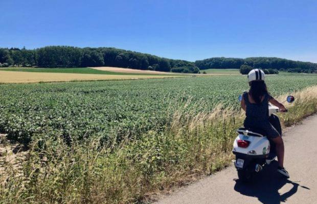 Villa Blue Garden B&B Vlaamse Ardennen Nabij Pairi Daiza Geraardsbergen Ngoại thất bức ảnh
